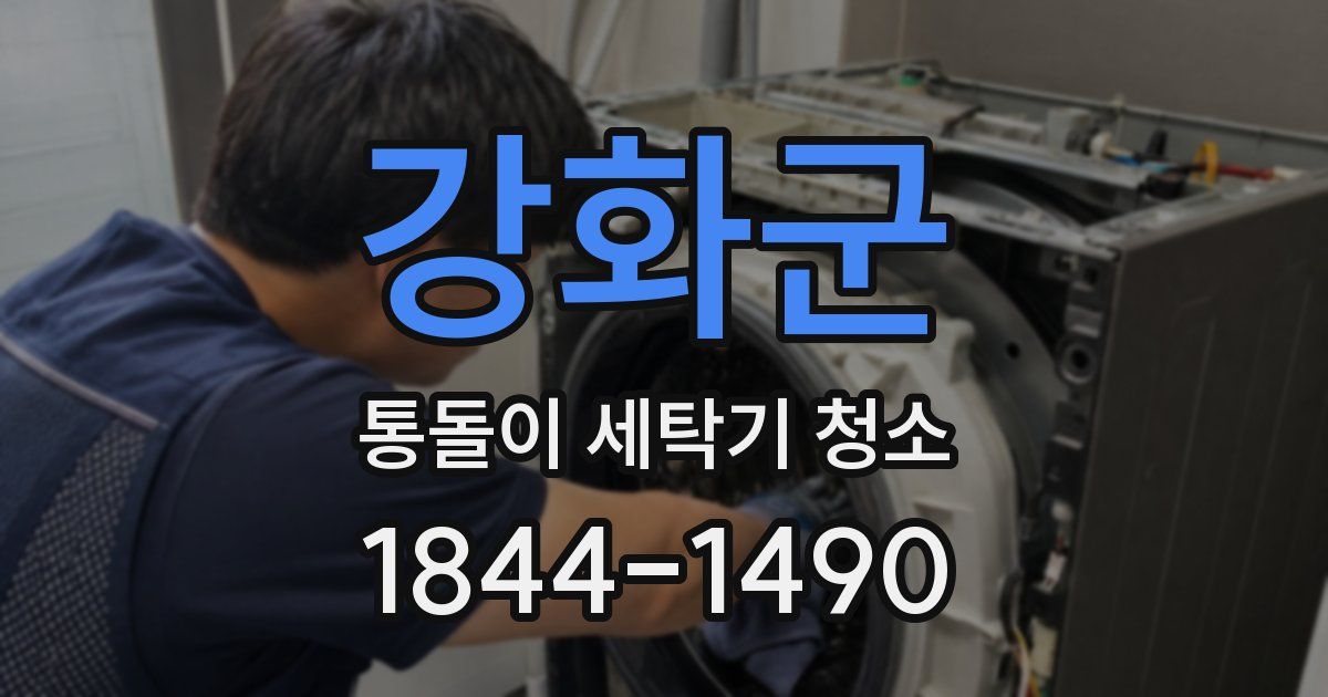 강화군 통돌이 세탁기 청소