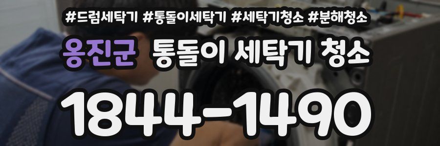 옹진군 통돌이 세탁기 청소