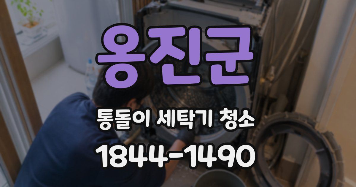 옹진군 통돌이 세탁기 청소