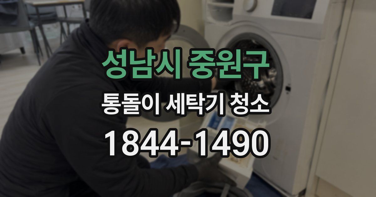 성남시 중원구 통돌이 세탁기 청소