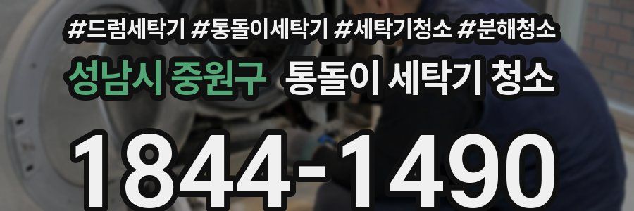 성남시 중원구 통돌이 세탁기 청소