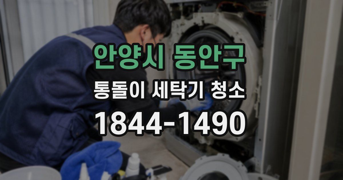 안양시 동안구 통돌이 세탁기 청소
