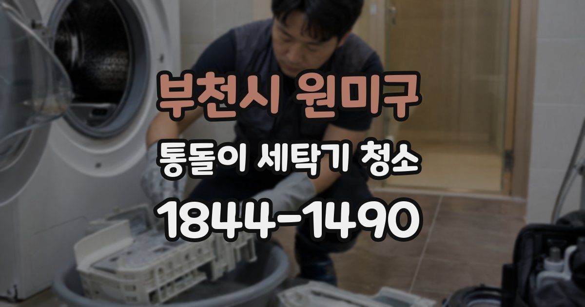 부천시 원미구 통돌이 세탁기 청소