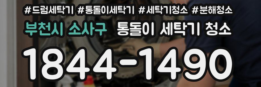 부천시 소사구 통돌이 세탁기 청소