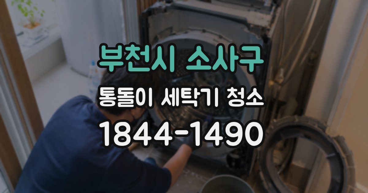 부천시 소사구 통돌이 세탁기 청소