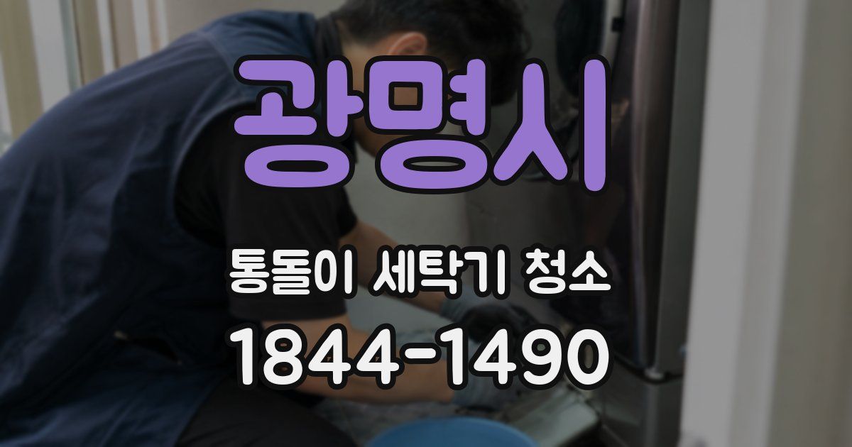 광명시 통돌이 세탁기 청소