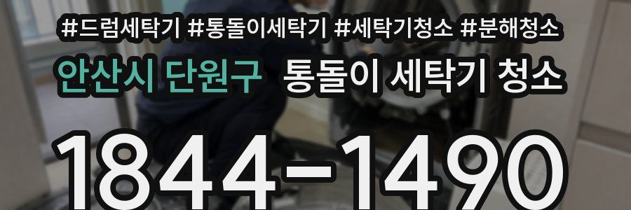 안산시 단원구 통돌이 세탁기 청소