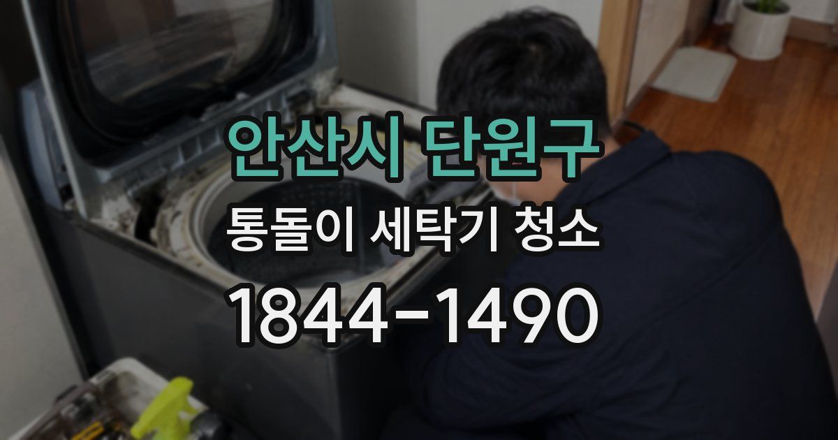 안산시 단원구 통돌이 세탁기 청소