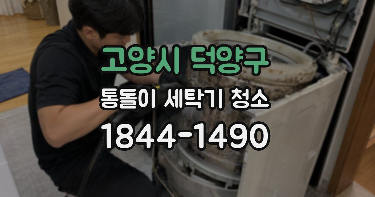 고양시 덕양구 통돌이 세탁기 청소