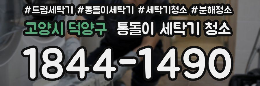 고양시 덕양구 통돌이 세탁기 청소