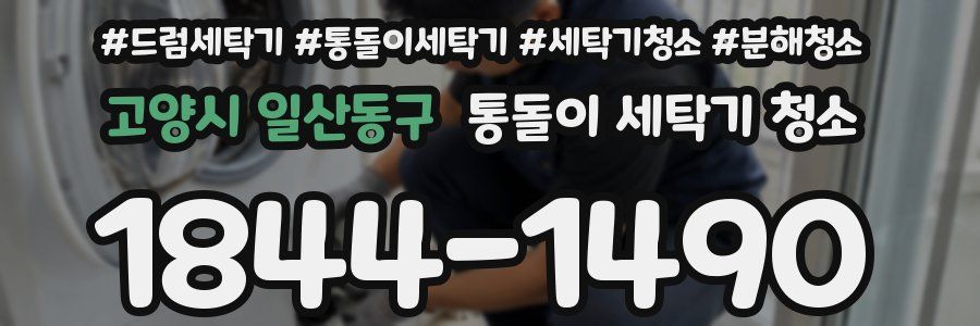 고양시 일산동구 통돌이 세탁기 청소