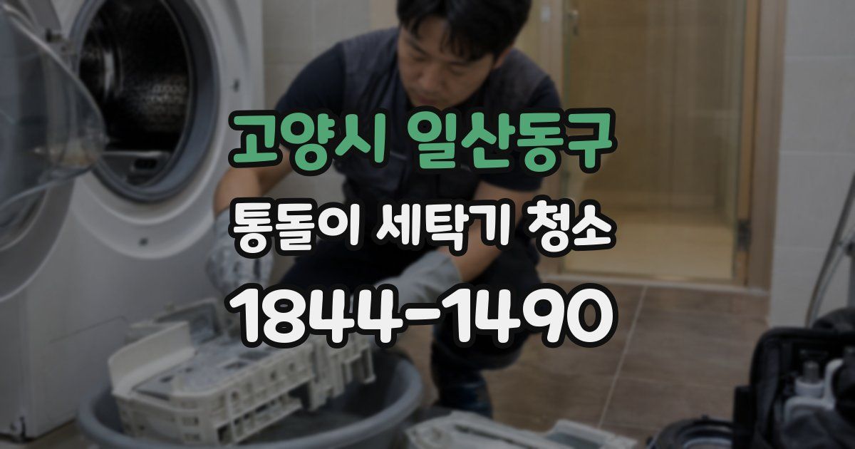 고양시 일산동구 통돌이 세탁기 청소