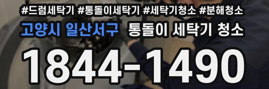 고양시 일산서구 통돌이 세탁기 청소