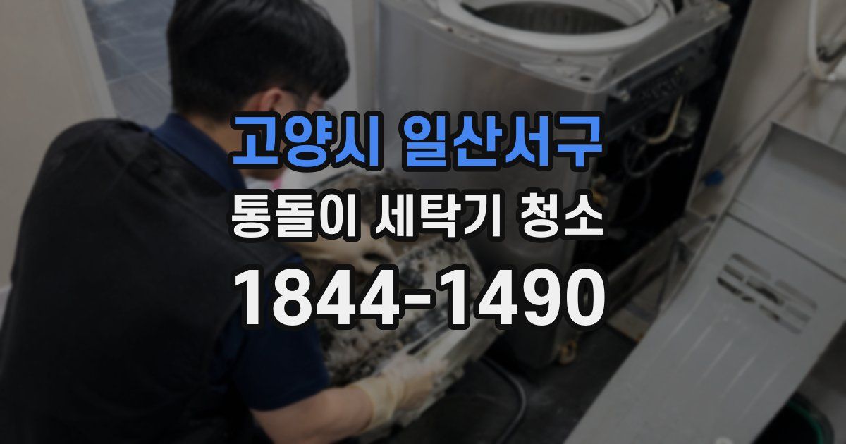 고양시 일산서구 통돌이 세탁기 청소
