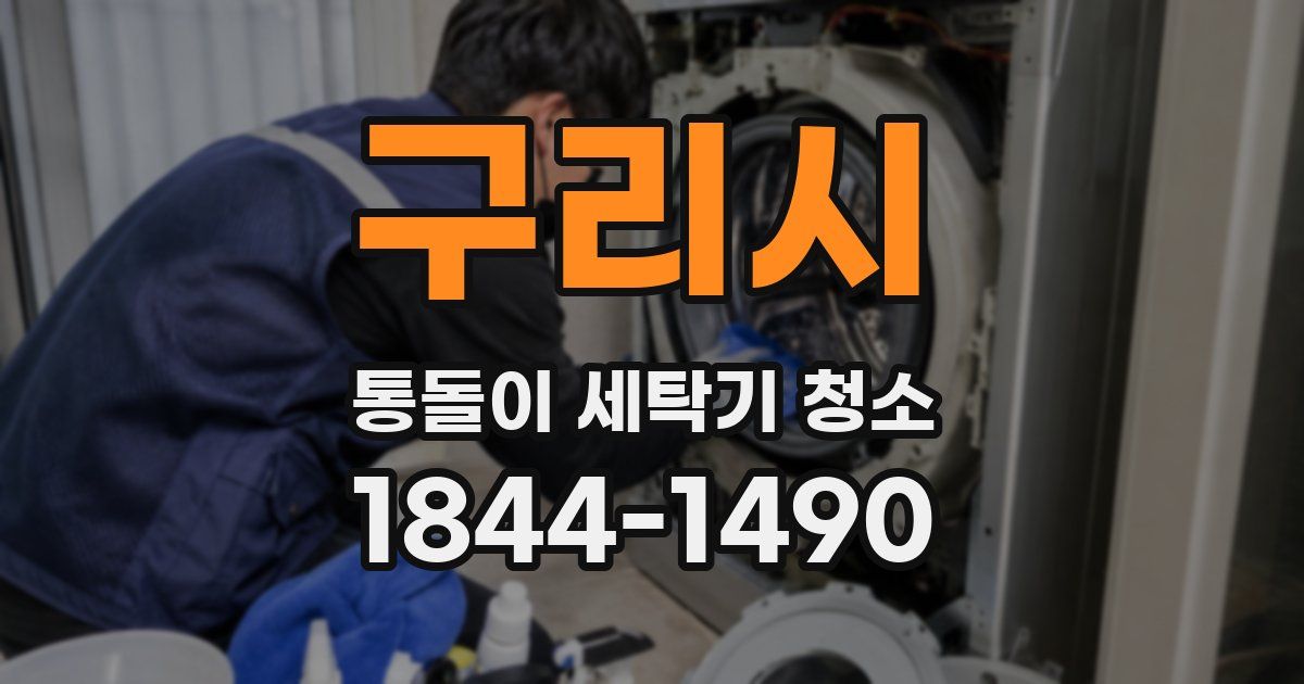 구리시 통돌이 세탁기 청소