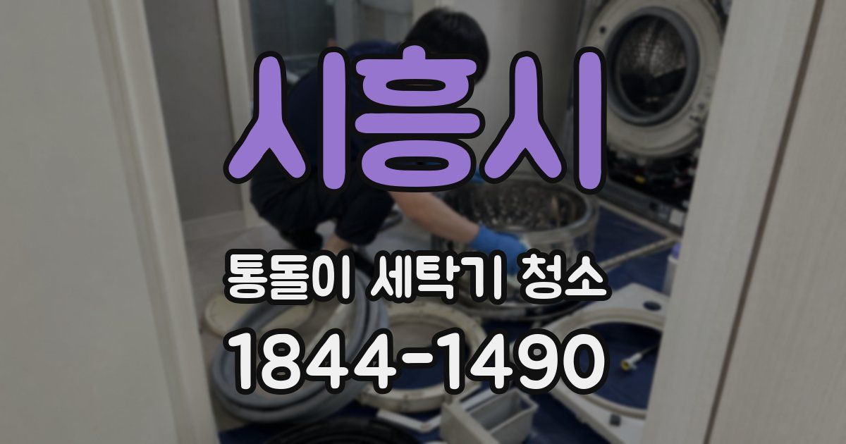 시흥시 통돌이 세탁기 청소