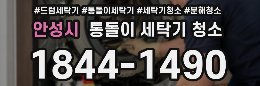 안성시 통돌이 세탁기 청소