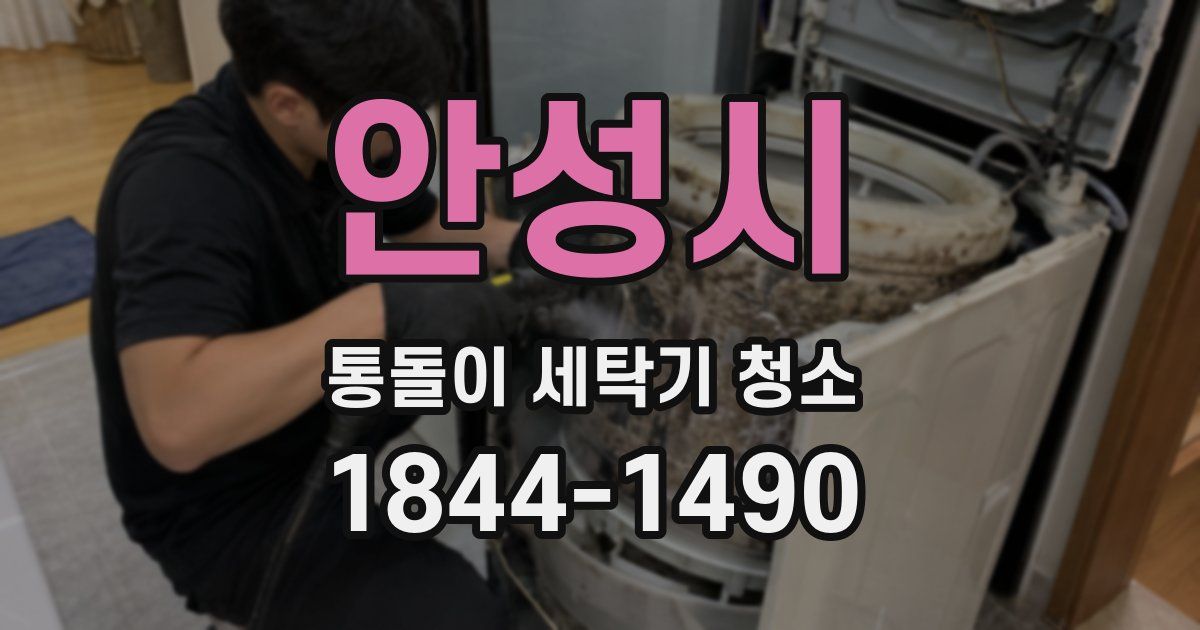 안성시 통돌이 세탁기 청소