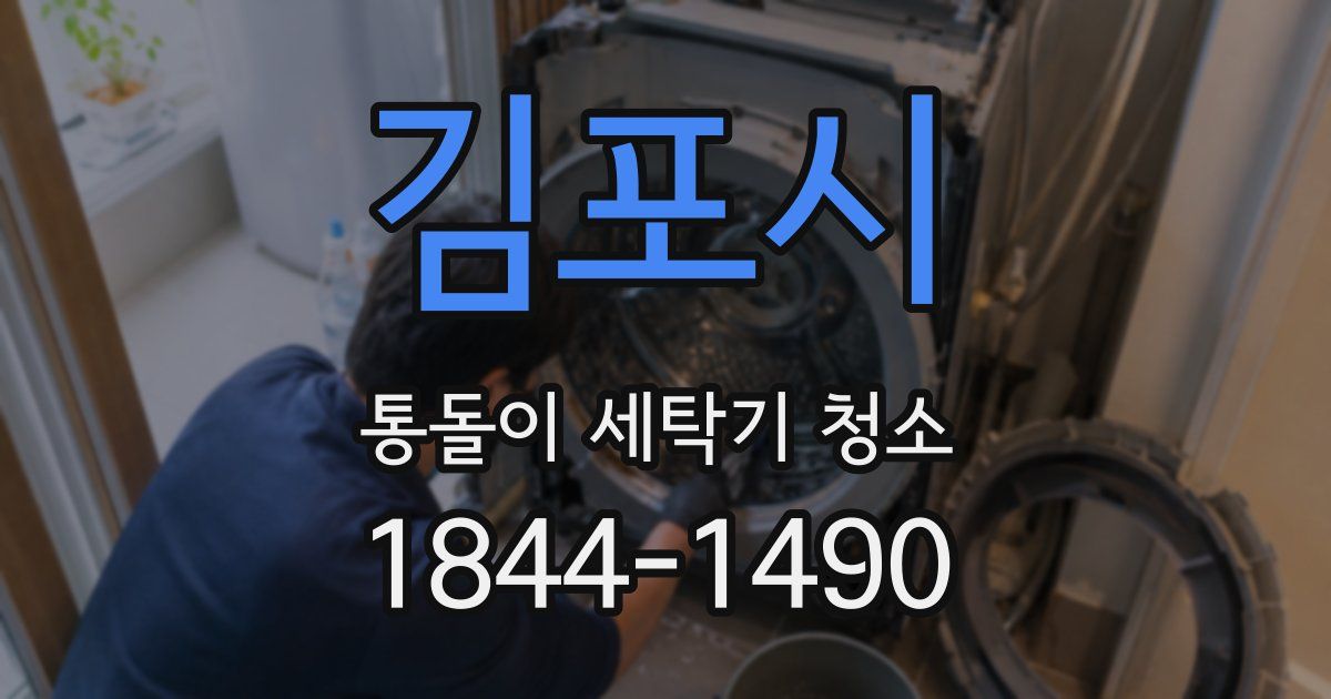 김포시 통돌이 세탁기 청소