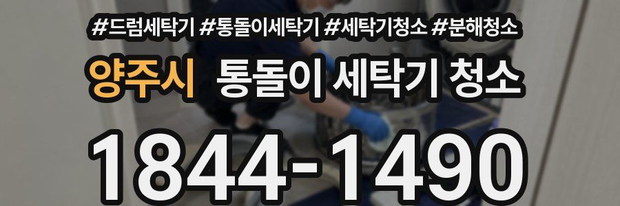 양주시 통돌이 세탁기 청소