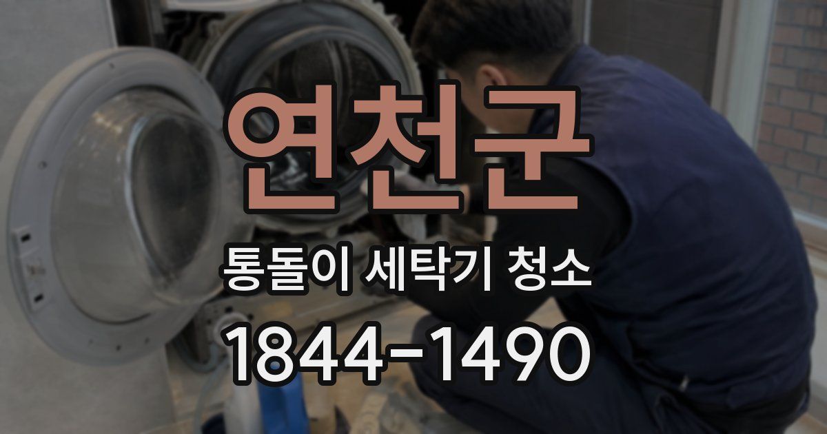 연천군 통돌이 세탁기 청소
