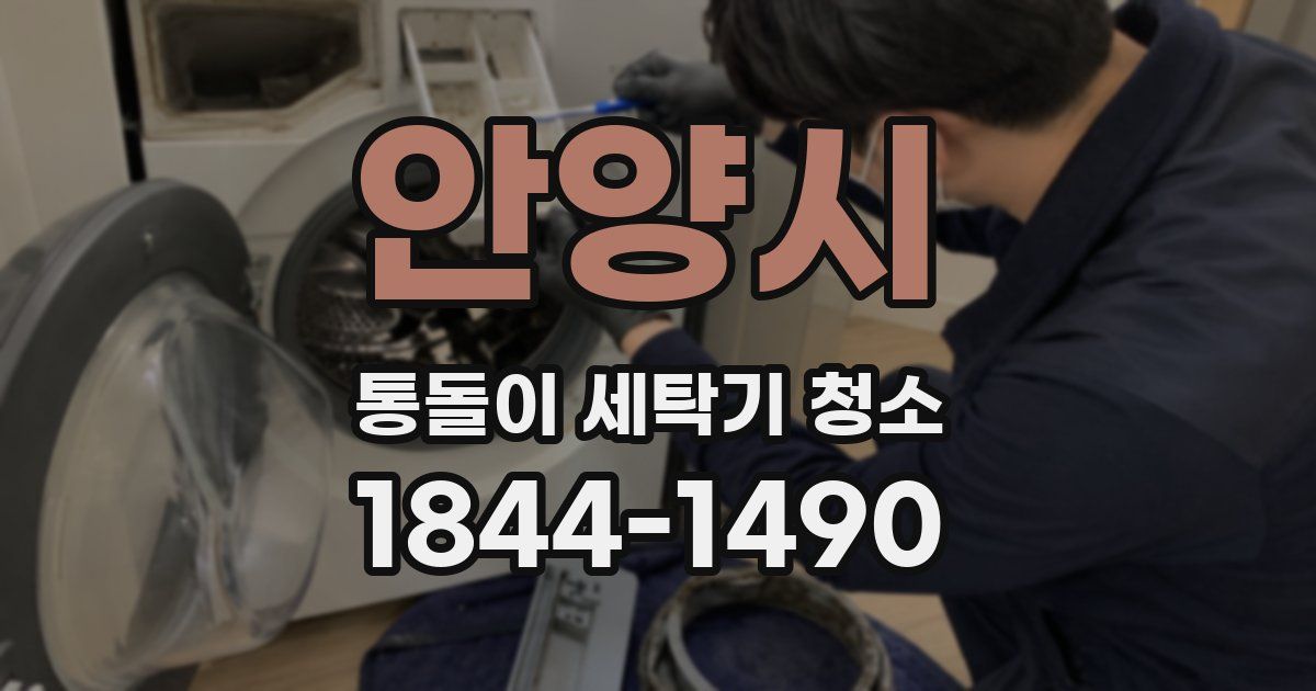 안양시 통돌이 세탁기 청소