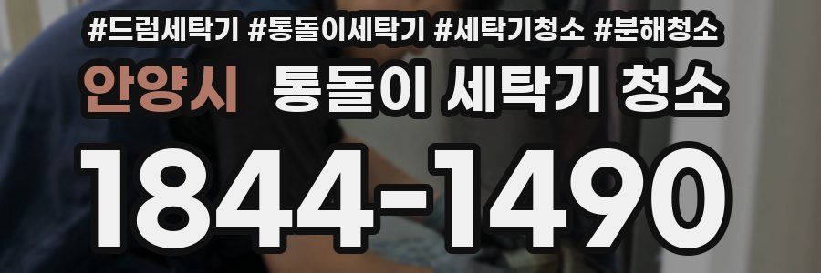 안양시 통돌이 세탁기 청소