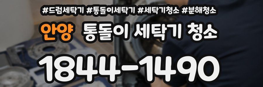 안양 통돌이 세탁기 청소