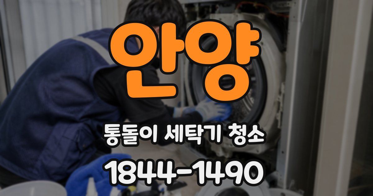 안양 통돌이 세탁기 청소