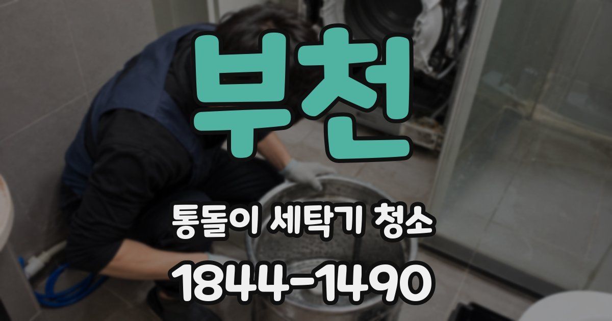 부천 통돌이 세탁기 청소