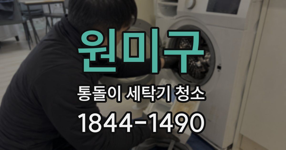 원미구 통돌이 세탁기 청소