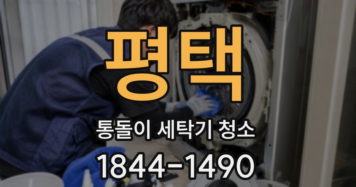 평택 통돌이 세탁기 청소