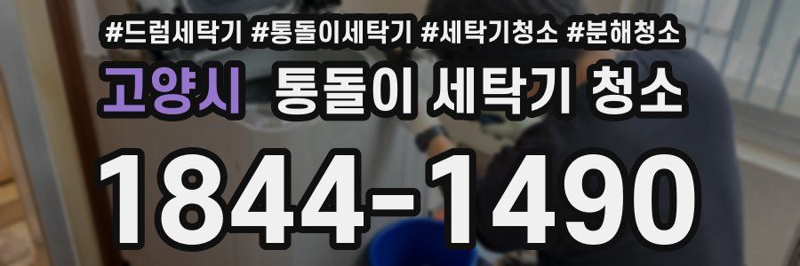 고양시 통돌이 세탁기 청소