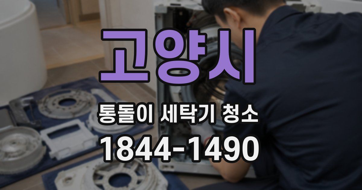 고양시 통돌이 세탁기 청소