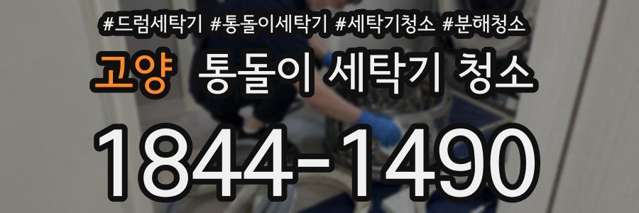 고양 통돌이 세탁기 청소