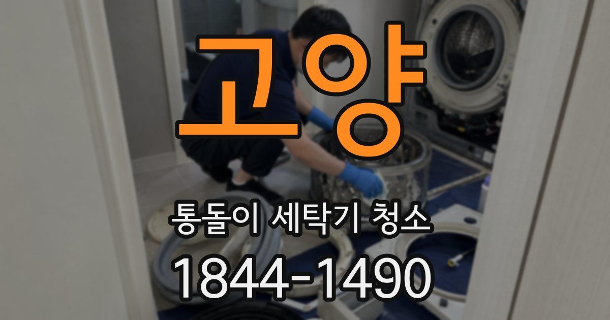 고양 통돌이 세탁기 청소