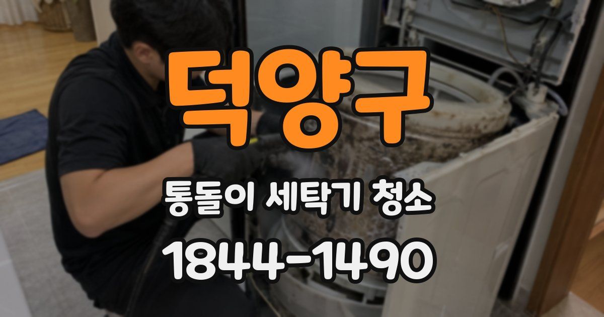 덕양구 통돌이 세탁기 청소