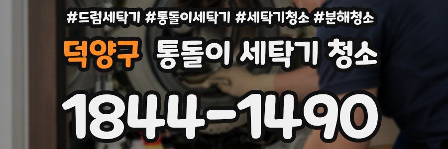 덕양구 통돌이 세탁기 청소