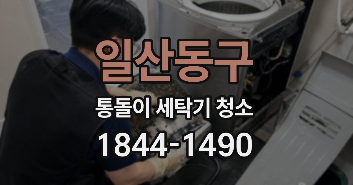 일산동구 통돌이 세탁기 청소