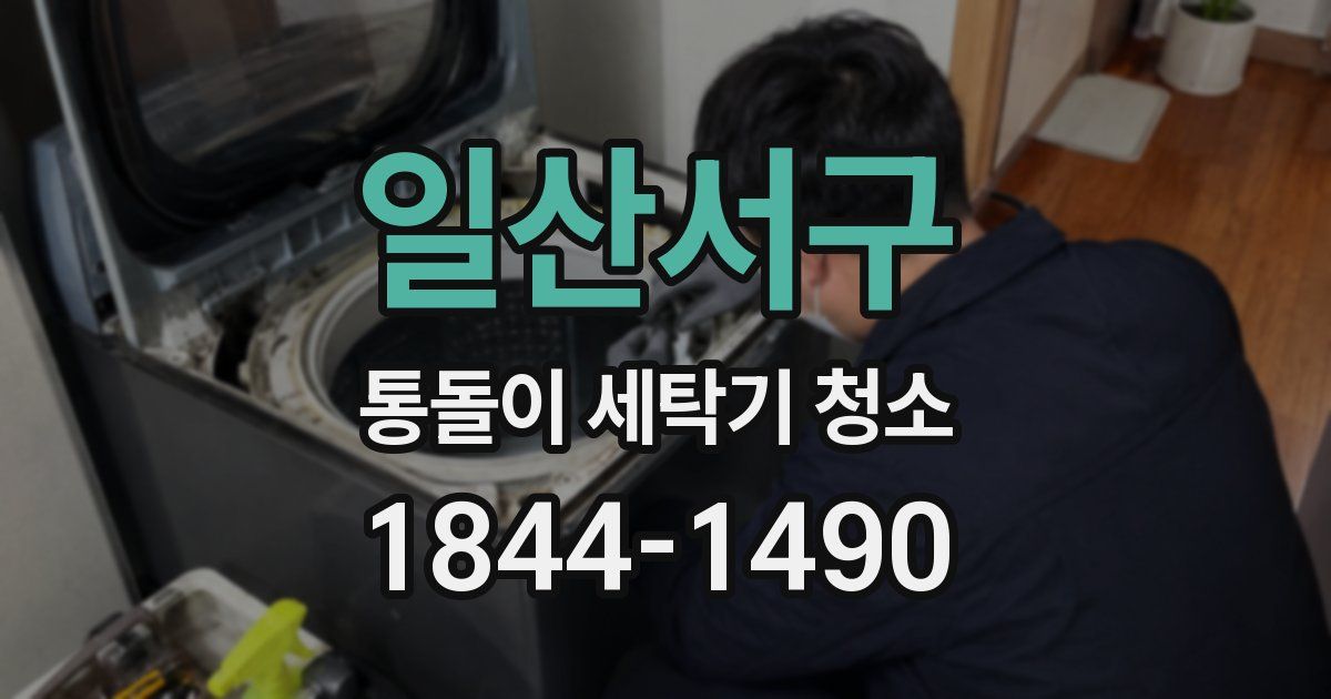 일산서구 통돌이 세탁기 청소