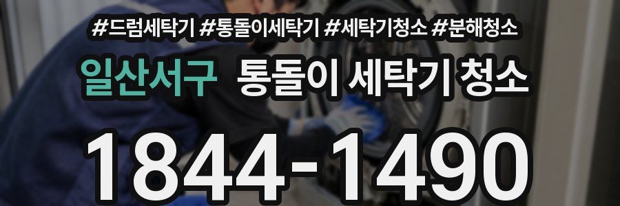 일산서구 통돌이 세탁기 청소