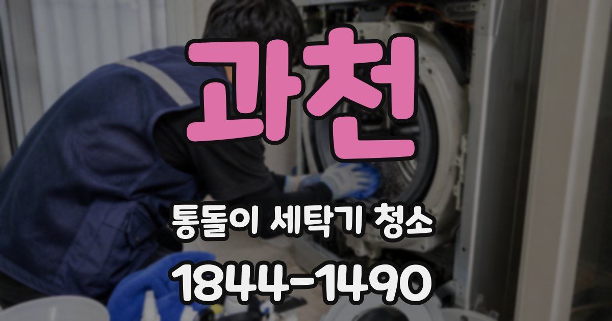 과천 통돌이 세탁기 청소