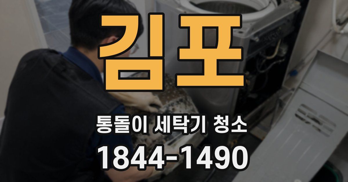 김포 통돌이 세탁기 청소
