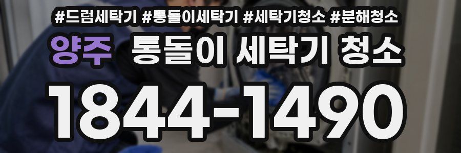 양주 통돌이 세탁기 청소