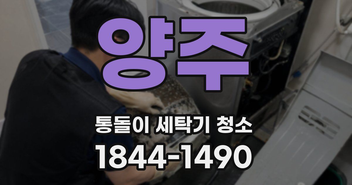 양주 통돌이 세탁기 청소