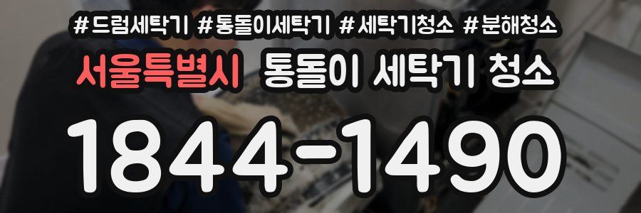 서울특별시 통돌이 세탁기 청소