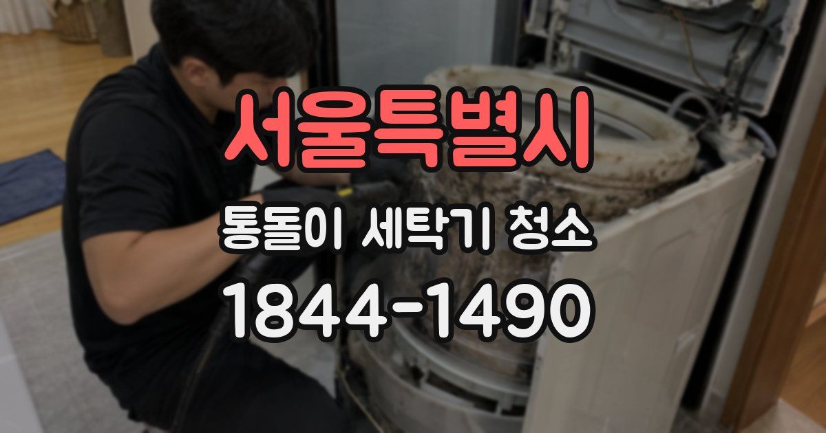 서울특별시 통돌이 세탁기 청소