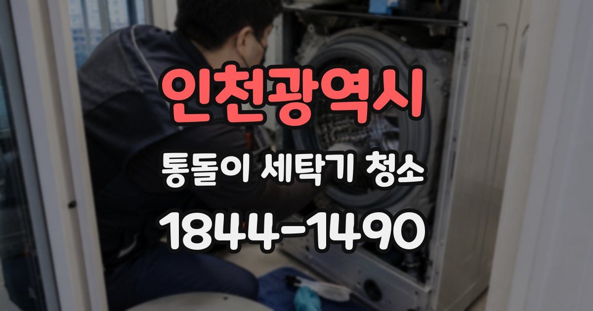 인천광역시 통돌이 세탁기 청소
