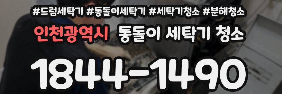 인천광역시 통돌이 세탁기 청소