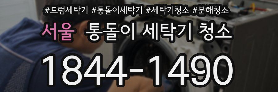 서울 통돌이 세탁기 청소